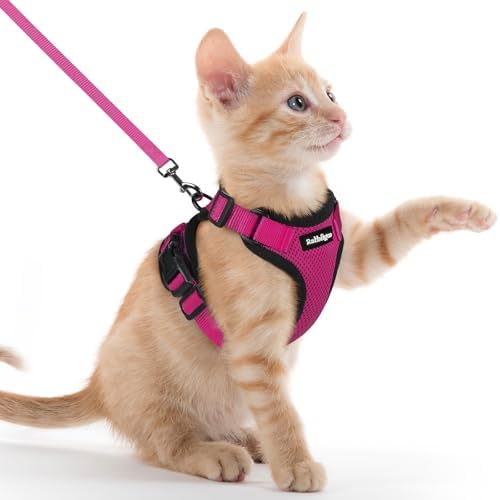 rabbitgoo Cat Harness and Leash Set, Escape Proof Vest, Rose Red by rabbitgoo
