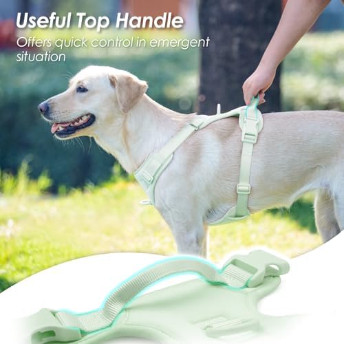Sunraymascota No Pull Dog Harness - Image 4
