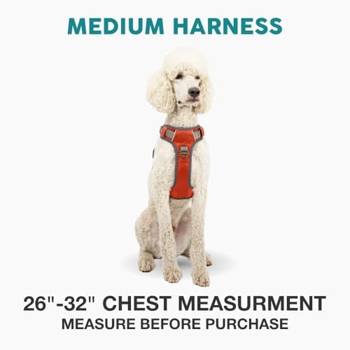 Embark No Pull Dog Harness, Reflective Adjustable Training Vest, No Choke - Image 2
