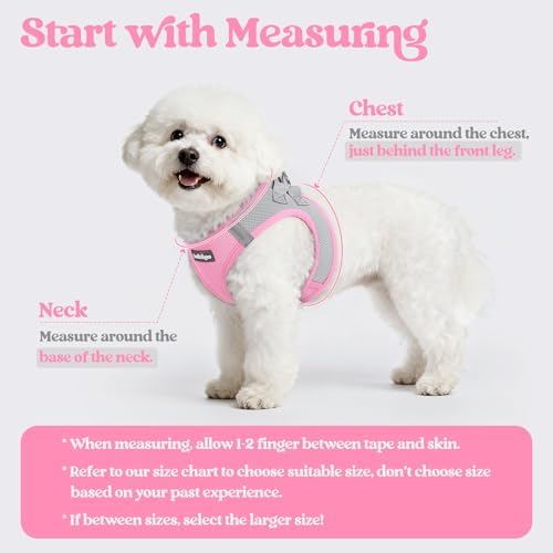 rabbitgoo Dog Harness Medium Sized and Leash Set, Step-in Puppy Pet Vest - Image 2