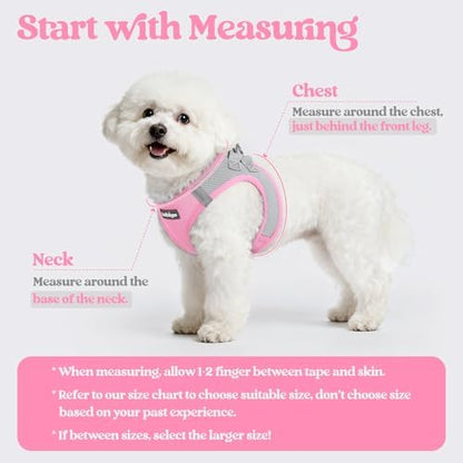 rabbitgoo Dog Harness Medium Sized and Leash Set, Step-in Puppy Pet Vest - Image 2