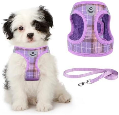 KOOLTAIL Dog Harness and Leash Set by KOOLTAIL