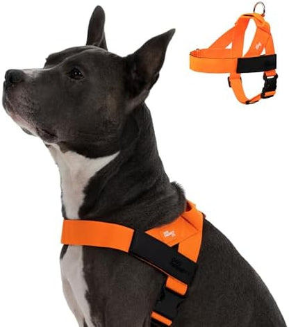 Dog Friendly Co. Dog Harness for Large Dogs by DogFriendly