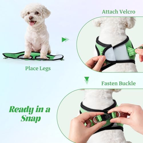 No Pull Dog Puppy Harness and Leash Set Reflective Mesh Vest Small - Image 4