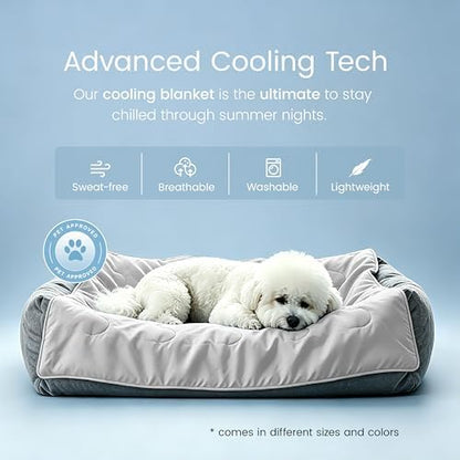 gogobunny Premium Cooling Blanket - Image 7