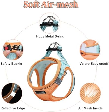 Mercano Soft Mesh Dog Harness and Leash Set, Step-in Reflective Breathable - Image 3