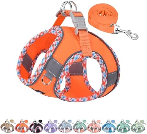 AIITLE Tiny Dog Harness and Leash Set, Step-in Vest by AIITLE-FORPETSBETTERLIFE