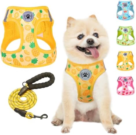 BEAUTYZOO Dog Harness Medium Sized and Leash Set, No Pull Pet Vest -Yellow by BEAUTYZOO