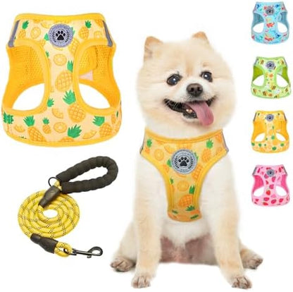 BEAUTYZOO Dog Harness Medium Sized and Leash Set, No Pull Pet Vest -Yellow by BEAUTYZOO