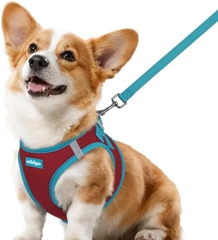 rabbitgoo Dog Harness Small Sized and Leash Set, Step in Soft Vest by rabbitgoo