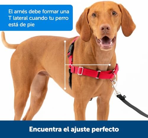 PetSafe Easy Walk Harness, No Pull Dog Harness, Royal Blue, Medium/Large - Image 5