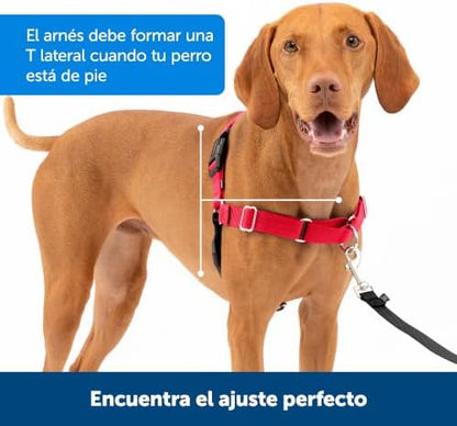 PetSafe Easy Walk Harness, No Pull Dog Harness, Royal Blue, Medium/Large - Image 5