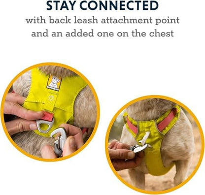 Ruffwear, Hi & Light Dog Chest Harness, Lichen Green - Image 4