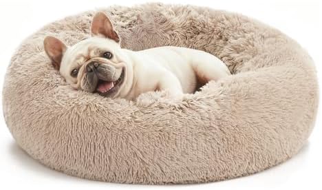 Love's cabin Calming Cat Bed for Indoor Cats, Anti-Anxiety Donut Round Dog Bed by Lovescabin