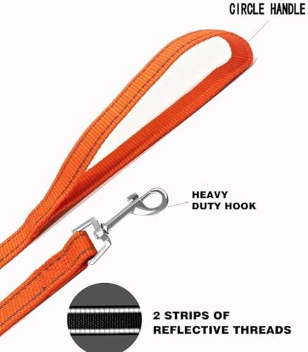 Nylon Training Dog Leash for Small Medium Dogs, 15ft 20ft 30ft 50ft 100ft - Image 4