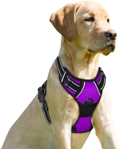BARKBAY Dog Harness No Pull for Small Sized Dog Front Back Clips, Dog Vest by BARKBAY