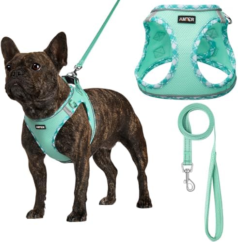 AMTOR Small Dog Harness with Leash Set, No Escape Easy Walk Puppy Harnesses by AMTOR