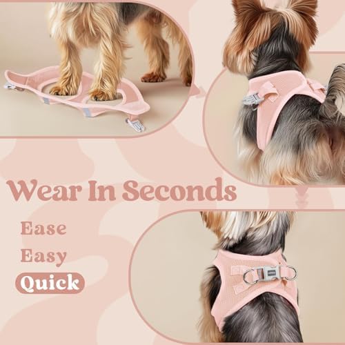rabbitgoo Step-in Small Dog Harness, Puppy Vest - Image 5