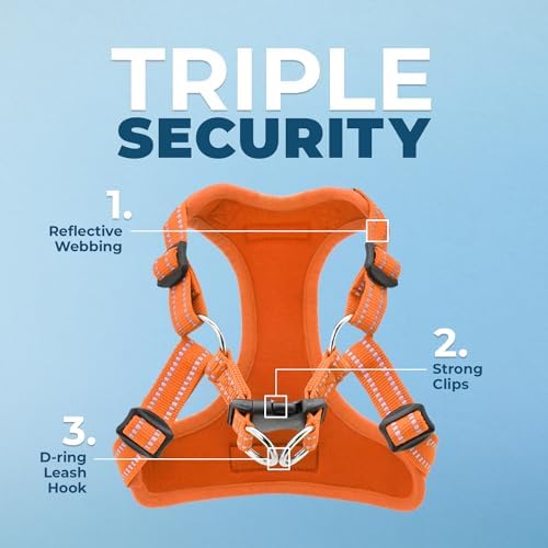 Voyager Step-in Flex Adjustable Dog Harness - Image 2
