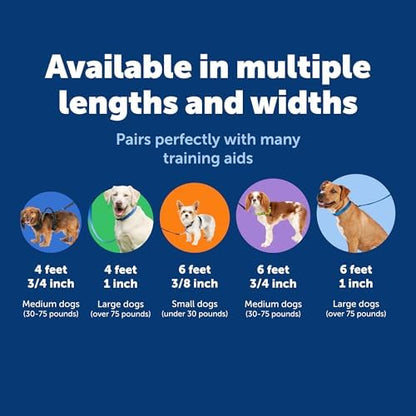 PetSafe Nylon Dog Leash - Image 5