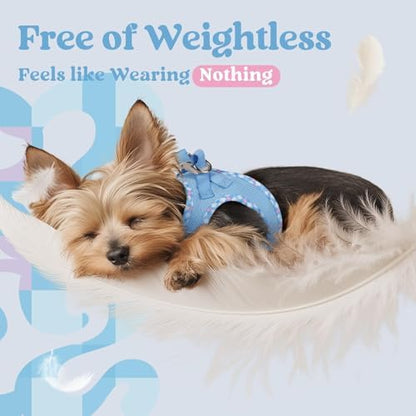 rabbitgoo Step-in Small Dog Harness, Puppy Vest - Image 4