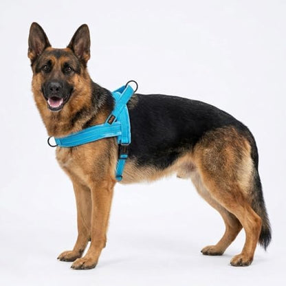 Didog No Pull Dog Harness for Large Dogs, Soft Flannel Padded - Image 2