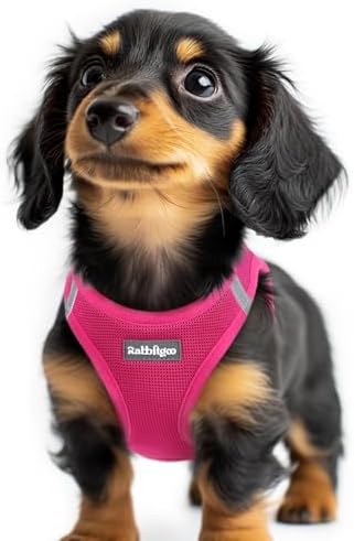 rabbitgoo Step-in Small Dog Harness, Puppy Vest by rabbitgoo