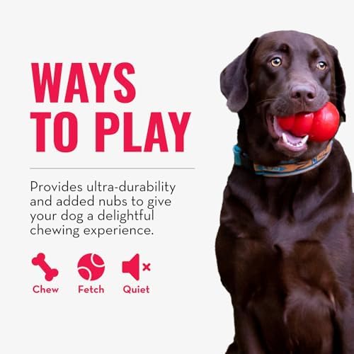 KONG Ring - Natural Rubber Ring Toy - Image 4