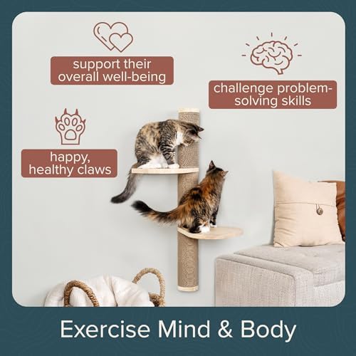 Cat Climbing Wall System – Modern Floating Shelves & Perches - Image 6
