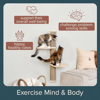 Cat Climbing Wall System – Modern Floating Shelves & Perches - Image 6