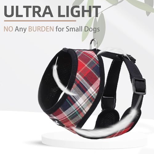 PUPTECK Small Dog Harness and Leash Set No Pull - Image 5