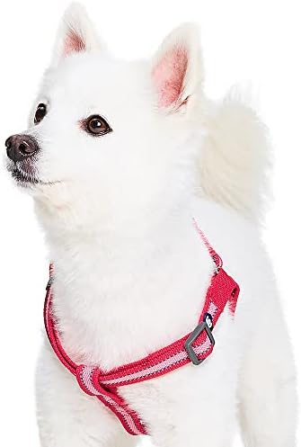 Blueberry Pet Essentials Step-in Reflective Back to Basics Dog Harness - Image 3