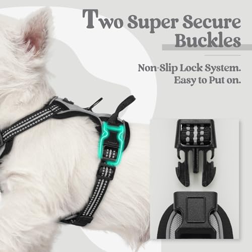 rabbitgoo Dog Harness No Pull - Image 3