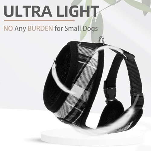 PUPTECK Small Dog Harness and Leash Set No Pull - Image 5