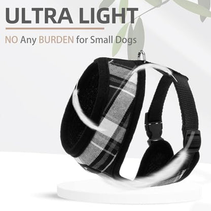 PUPTECK Small Dog Harness and Leash Set No Pull - Image 5