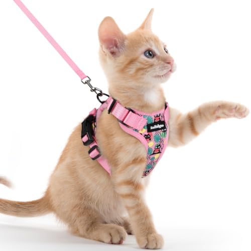 rabbitgoo Cat Harness and Leash Set, Escape Proof Vest, Melon Munch by rabbitgoo