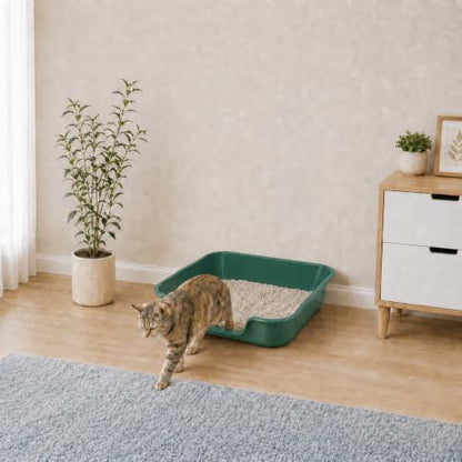 Extra Large Low Entry ABS Cat Litter Box, 2 Pack - Image 4