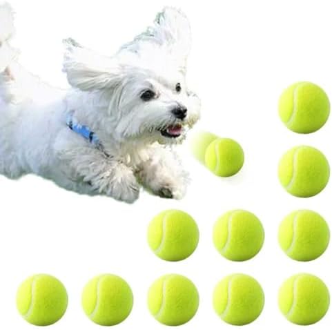 10 Pack 2-Inch Pet Tennis Balls by Unknown