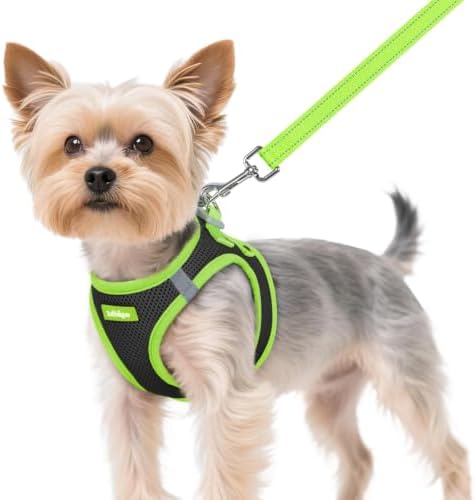 rabbitgoo Dog Harness Small Sized and Leash Set, Step in Soft Vest by rabbitgoo