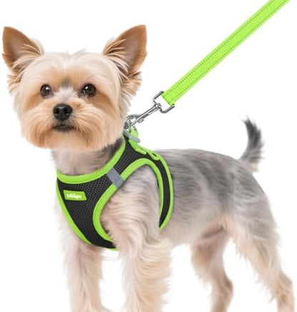 rabbitgoo Dog Harness Small Sized and Leash Set, Step in Soft Vest by rabbitgoo