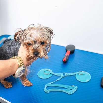 Dog Bath Tether with Suction Cup, Adjustable Grooming Restraint - Image 5