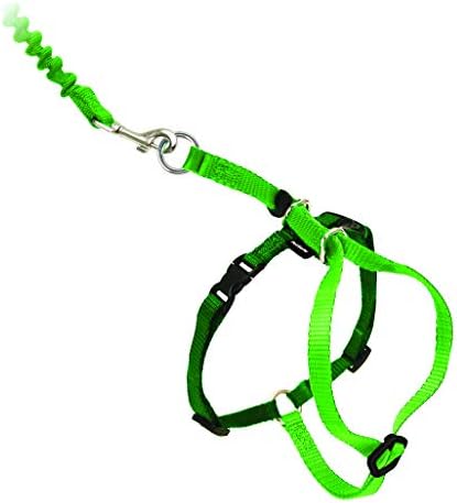 PetSafe Come with Me Kitty Harness and Bungee Leash - Image 4