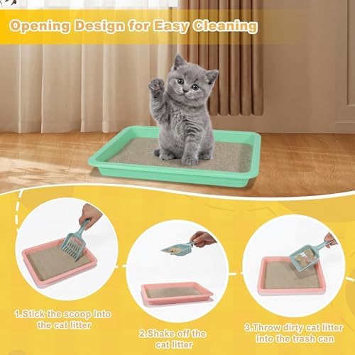 6 Pcs Kitten Litter Boxes, Low Entry Litter Box - Image 6
