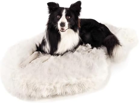 PAW BRANDS PupRug Orthopedic Dog Bed by PAWBRANDS