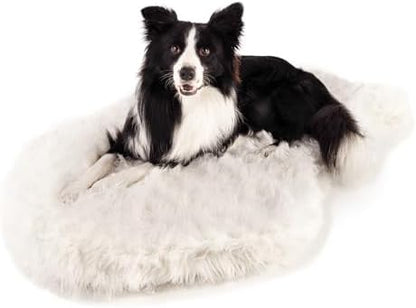 PAW BRANDS PupRug Orthopedic Dog Bed by PAWBRANDS