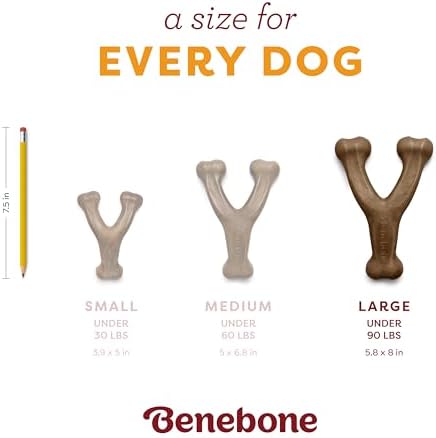 Benebone Wishbone Chew Toy for Aggressive Chewers, Pumpkin Spice - Image 5