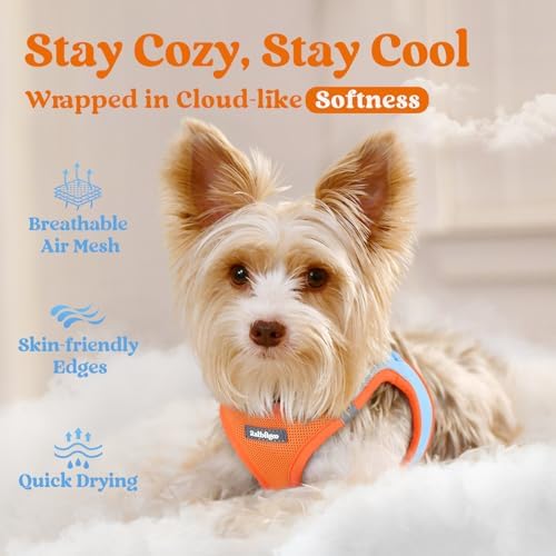 rabbitgoo Step-in Small Dog Harness, Puppy Vest - Image 3