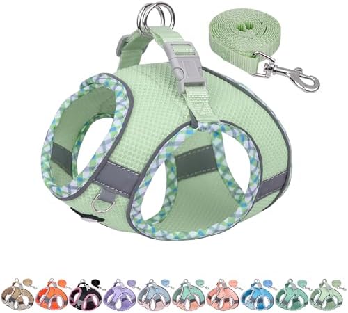 AIITLE Tiny Dog Harness and Leash Set, Step-in Vest by AIITLE-FORPETSBETTERLIFE