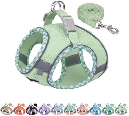AIITLE Tiny Dog Harness and Leash Set, Step-in Vest by AIITLE-FORPETSBETTERLIFE