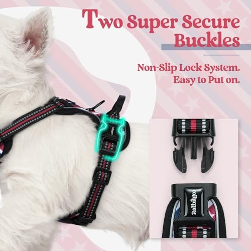 rabbitgoo Dog Harness, No Pull for Small Dogs - Image 3